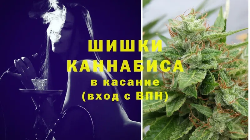 Бошки марихуана THC 21%  Бабушкин 